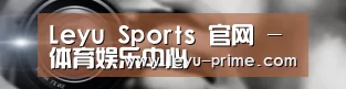公司动态