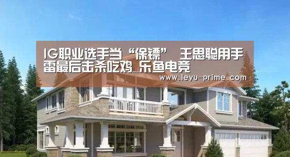 IG职业选手当“保镖” 王思聪用手雷最后击杀吃鸡_乐鱼电竞(图4) 乐鱼APP下载