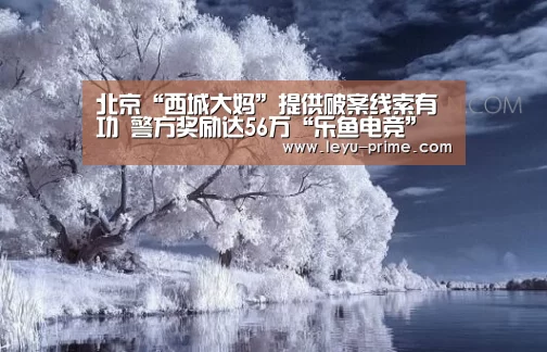 北京“西城大妈”提供破案线索有功 警方奖励达56万“乐鱼电竞”(图2) 乐鱼电竞直播